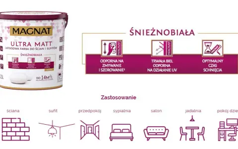 Jaka farba zmywalna? Ranking, rodzaje i porady [Przewodnik]