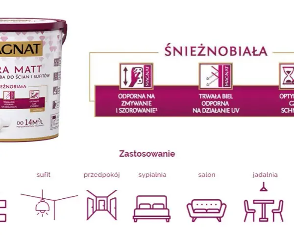Jaka farba zmywalna? Ranking, rodzaje i porady [Przewodnik]